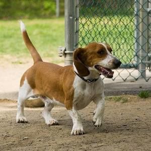 Meet your Posher, Linda